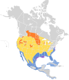 Aire de répartition de la Sterne de Forster