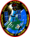 Sts-109 emblem