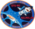 Sts-90 emblem