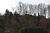 Ruine Tegerfelden