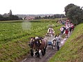 le Tour dans les champs