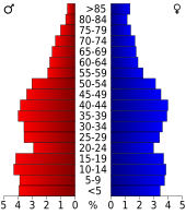 Bevolkingspiramide Caldwell County