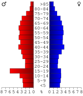 Bevolkingspiramide Lake County