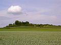 Le Mont de Berru