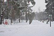 Парк Кіото взимку