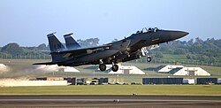 494th Fighter Squadron F-15E Strike Eagle.jpg