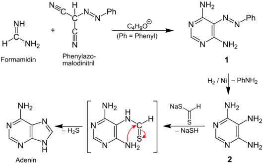 Reaktionsmechanismus zur Synthese von Adenin