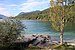 Jochberg vom Walchensee-Südufer