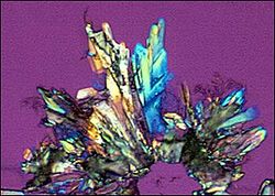 A crystal of AZT, viewed under polarized light Azt crystal.JPG