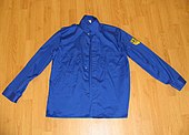 Uniform of the FDJ Blauhemd FDJ-Hemd GDR.jpg
