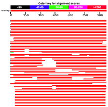 Description de l'image CCDC132 Blast Results.png.