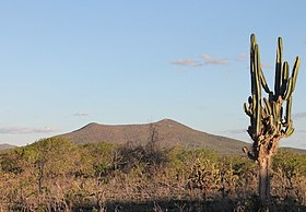 Caatinga no município de Uauá, na Bahia.