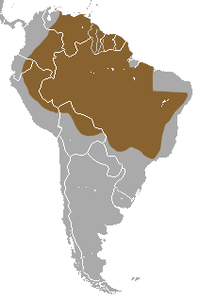 Southern Naked-tailed Armadillo range