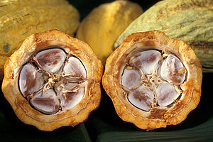 Description: Cocoa beans in a cocoa pod. Sourc...