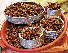 Chapulines at Tepoztlan's market, near Mexico City Chapulines.jpg