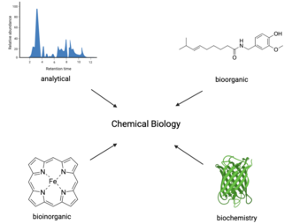 An overview of the different components included in the field of chemical biology Chemical biology flowchart.png