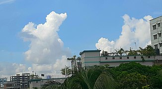 Clouds like combed cotton in autumn