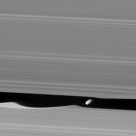 Daphnis kosmosesond Cassini tehtud pildil (6. juuli 2010).