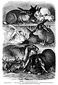 Die Gartenlaube (1874) b 431.jpg Kaninchen. Originalzeichnung von Lud. Voltz.