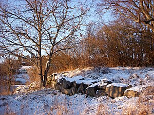 Husgrunden efter hemmanet Fållan