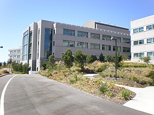 A section of the mid campus of the Genentech h...