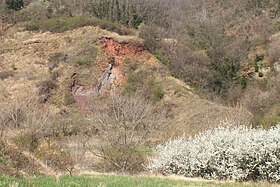 Image illustrative de l’article Lagerstätte de La Voulte-sur-Rhône