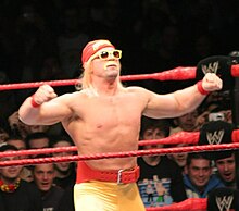 Haas in November 2008 as Haas Hogan, a parody of Hulk Hogan. Haas Hogan cropped.jpg