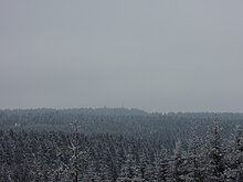 Gipfel des Kiel von der Schneckensteiner Halde aus gesehen