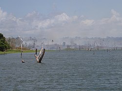 Image illustrative de l’article Lac Bayano