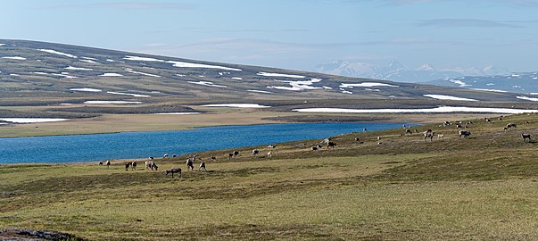 Loadásjjávrásj, vy mot söder från den gamla leden mellan Gisuris och Låddejåhkå.