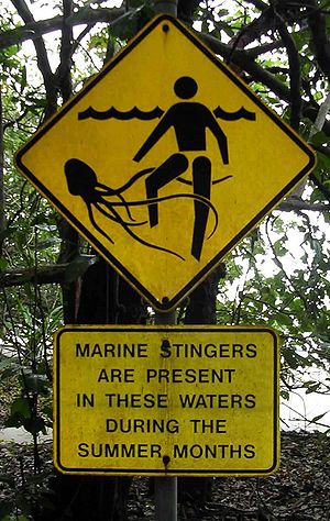 A signpost at a beach in Cape Tribulation, Que...