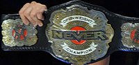 Miniatura para NEVER Openweight Championship