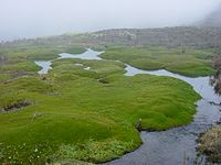 Oorsprong van een rivier op de Nevado de Santa Isabel