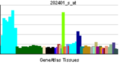 PBB GE SRF 202401 s at tn.png