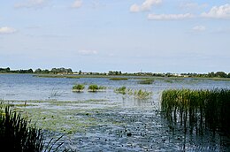 Paežerių ežeras nuo Paežerių dvaro