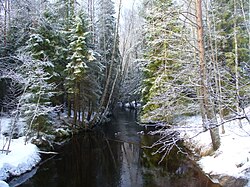 Perojoki Leipäsuon eteläpuolella