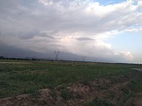 باغات شمالی و غربی روستای فوشنجان عمدتا در سمت راست تصویر دیده می‌شوند. (تصویر از سمت جاده باغرود گرفته شده)