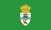 圭亞那2015年-2020年總統旗幟。戴維·格蘭傑總統領導下的圭亞那總統旗幟變體