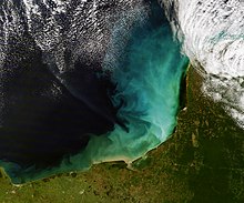 Sediment off the Yucatan Peninsula Sediment off the Yucatan Peninsula.jpg