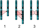 Request: Please vectorize. Taken by: NikNaks New file: Single Chromosome Mutations.svg
