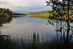 Skisstjärn, midsommarkväll 2015