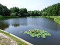 Moczydło Park