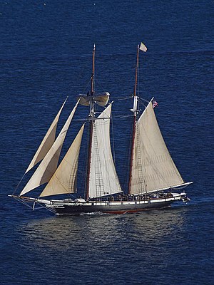 Topsail schooner Californian - A ship seen fro...