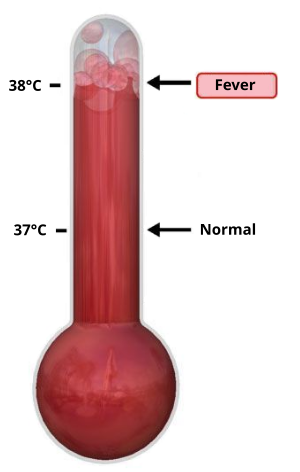 Thermometer Fever