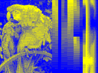 512x192x2 example image with Blue & Yellow palette