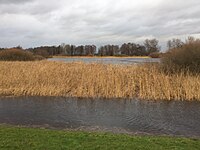 Wümme bei Gezeiten-, Wind und Niederschlagshochwasser am 26. Dezember 2023