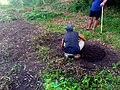 Farmer and volunteers preparing the soil for planting.