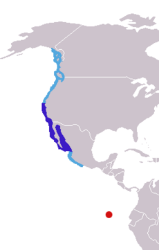      Z. californiana (lachtan tmavý) – rozmnožiště      Z. californiana (lachtan tmavý) – celkové rozšíření      Z. wollebaeki (lachtan mořský)