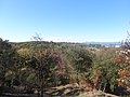 中央広場の展望台からの風景