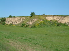 Lösswände westlich von Dirmstein